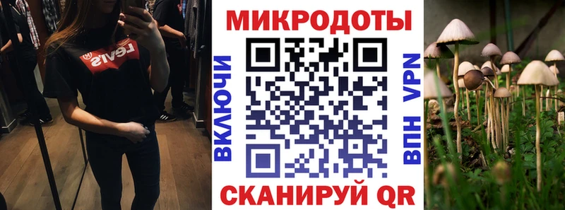 Галлюциногенные грибы мухоморы Купить где Дегтярск