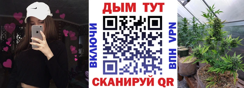 Бошки марихуана MAZAR  Купить где  Дегтярск 